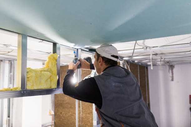 Best Specialized Insulation Services in Nice, CA