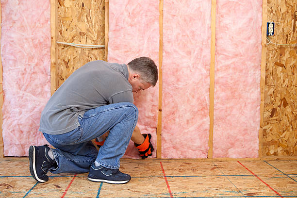 Best Energy Efficiency Insulation in Nice, CA