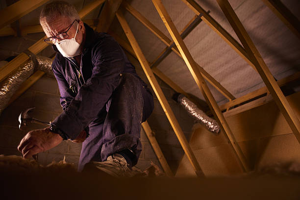 Best Fiberglass Insulation in Nice, CA